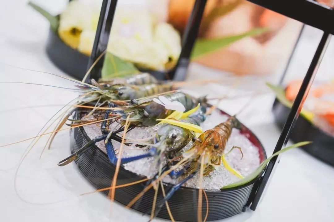 让成都的花胶鲍鱼鸡一姐，给你们讲哈小红袍的故事