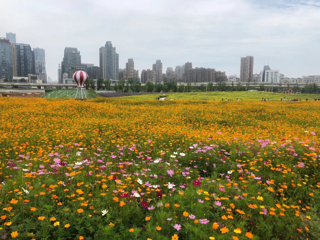 你不知道的南昌周边美景,南昌风景超好的地方