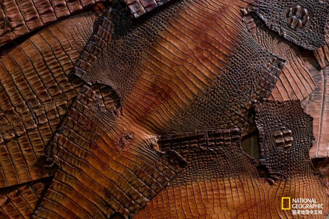 槌勯奔鑱屼笟鐚庝汉,槌勯奔鐚庝汉骞磋柂