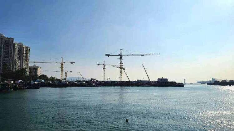 今天，了解关爱共同抗“癫”