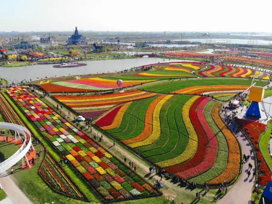 带你看盐城风景,牛年看牛展2021新春展等你来打卡