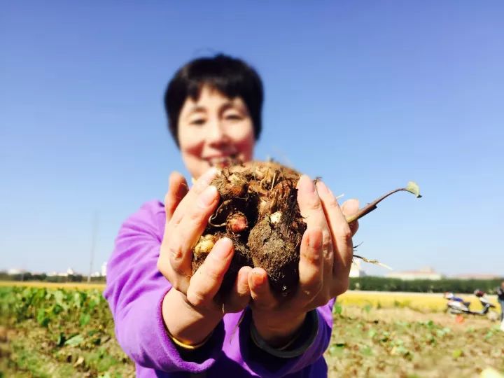 无锡口味独特吗,无锡的味道