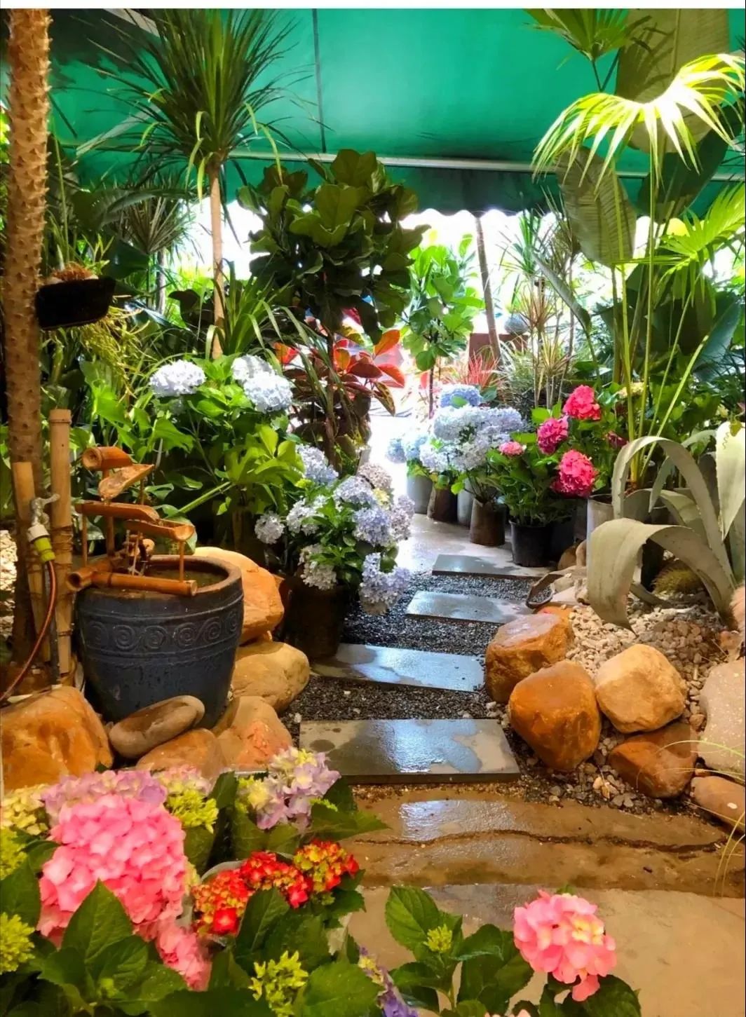 南宁赏花2022,赏花攻略南宁