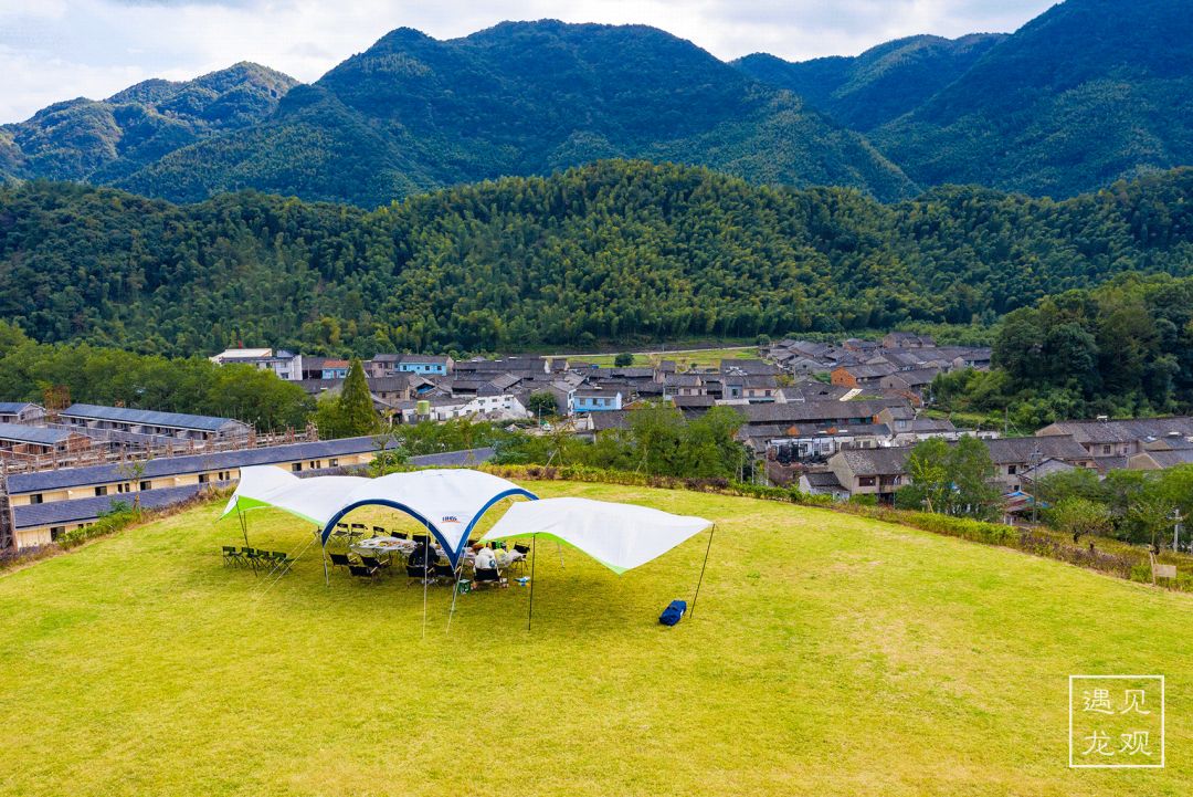 瀵诲勾鍛宠繋榫欏勾鎵撳崱娲诲姩,瀵诲勾鍛冲搧骞村懗鎰熷彈