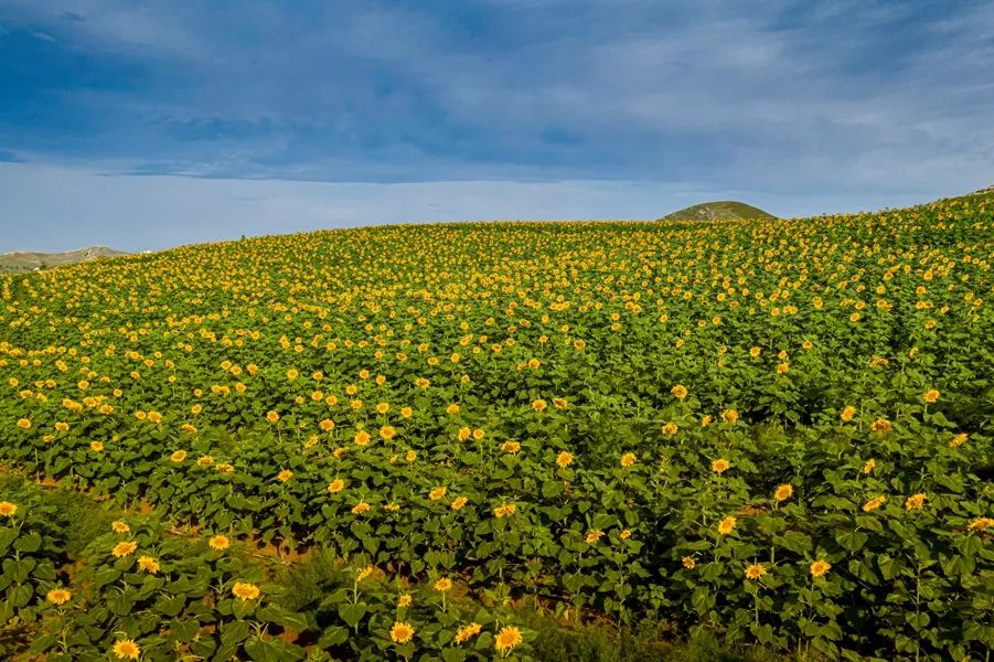 鍙や粖杈夋槧瀹屾暣瑙嗛,鍙や粖浜ょ浉杈夋槧