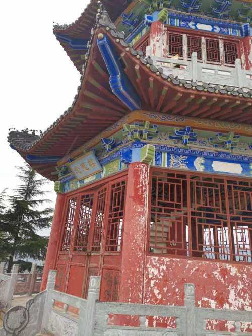 里友来稿｜赵建超——雨中登龟山