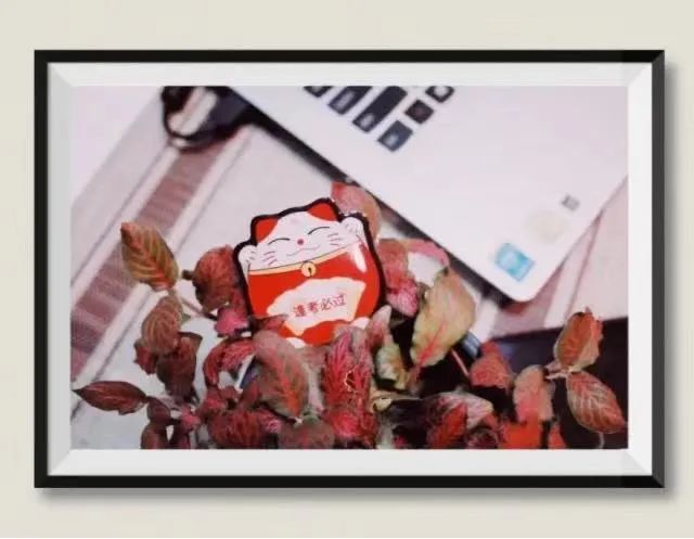 学生e通卡优惠多少,学生e通卡办理