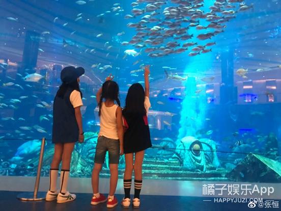 还珠格格第一部赵薇版塞娅公主,还珠格格塞娅公主对比