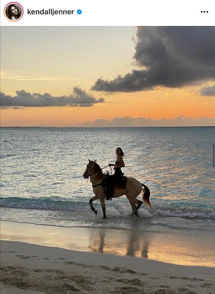 一马难求！网红在逃公主风把马都拍涨价了