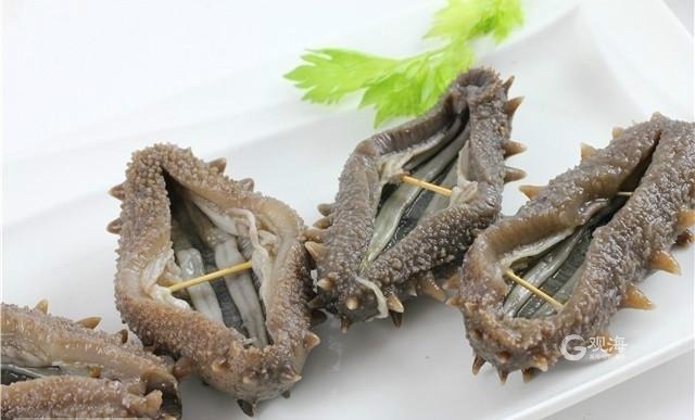 海参价格差异原因,正宗青岛海参多少钱一斤