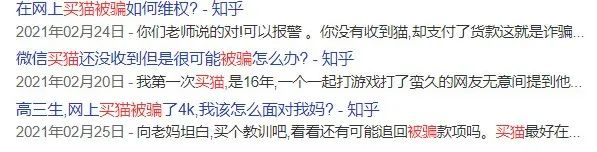 *子骗**又出新套路，可爱小猫沦为「骗钱工具人」