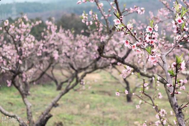 绘画我和春天有个约会,亲子绘画我和春天有个约会