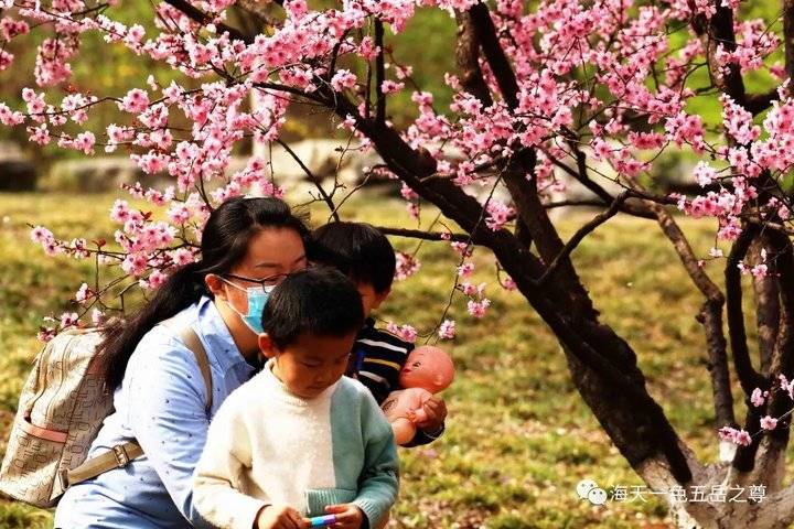 清明时节万物清新,清明万物新