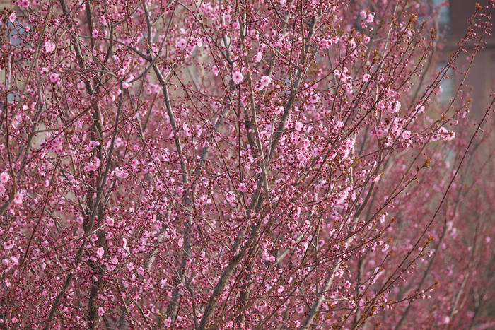 松下s5镜头70-300测评,松下lumixs70-300mm