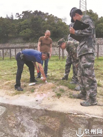 红火蚁已入侵12省份分别是,怎样解决红火蚁入侵我国