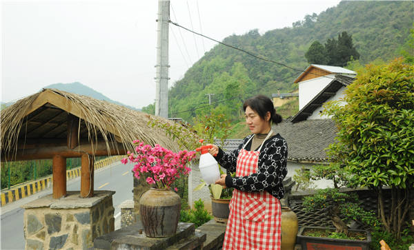 湖北十堰茅箭区:庭院“小美”成就乡村“大美”