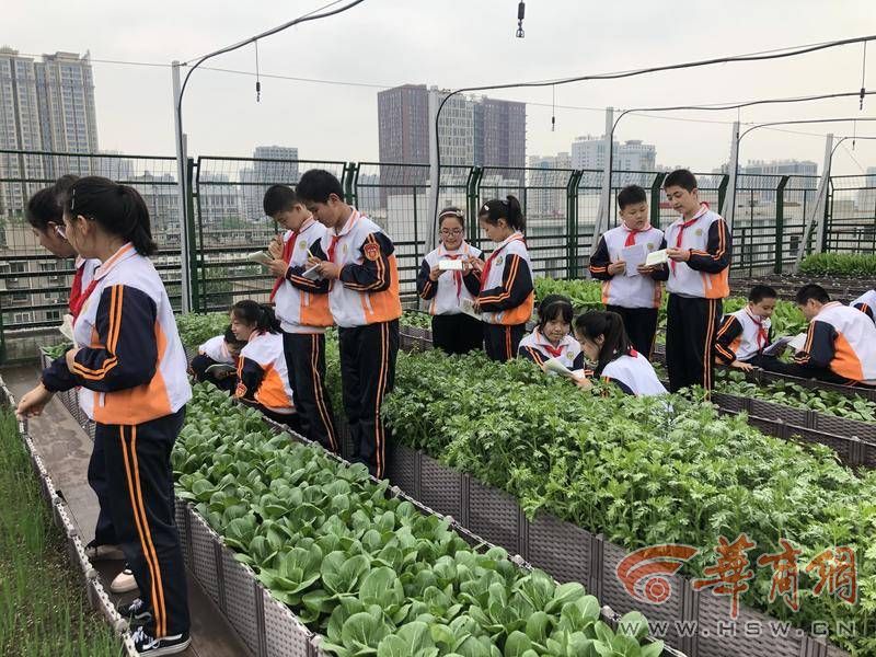 课后服务费最新政策西安,西安中小学课后服务