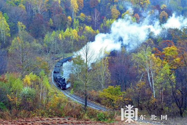 黑龙江省151项文旅惠民“大礼包”带你嗨玩五月