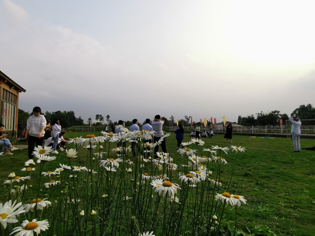 解开成都农业问号⑥|打造“乡村共同体”,新都区这个庭院有何样本意义?