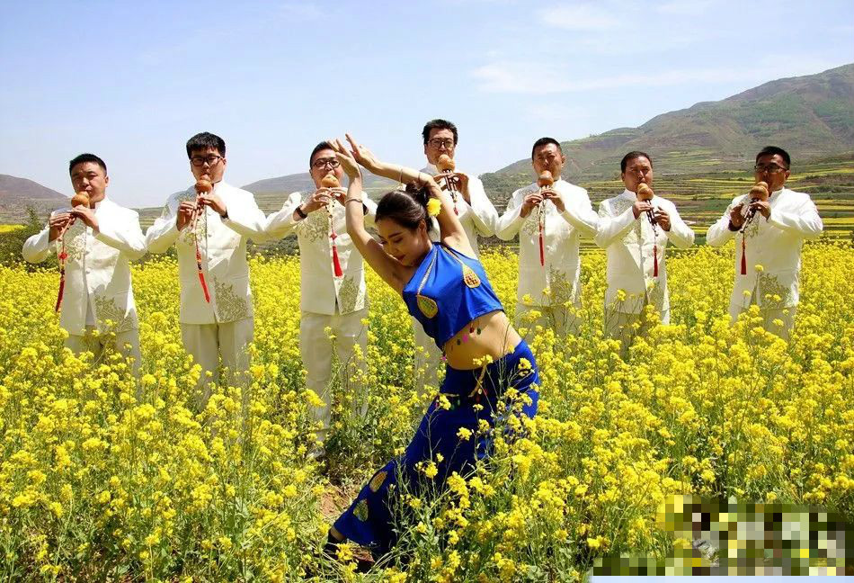 甘肃武山油菜花开了,武山的油菜花开了吗