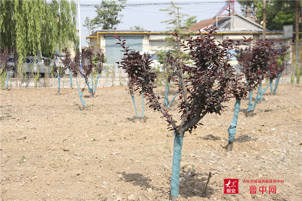 这就是山东,山东淄博怎么样