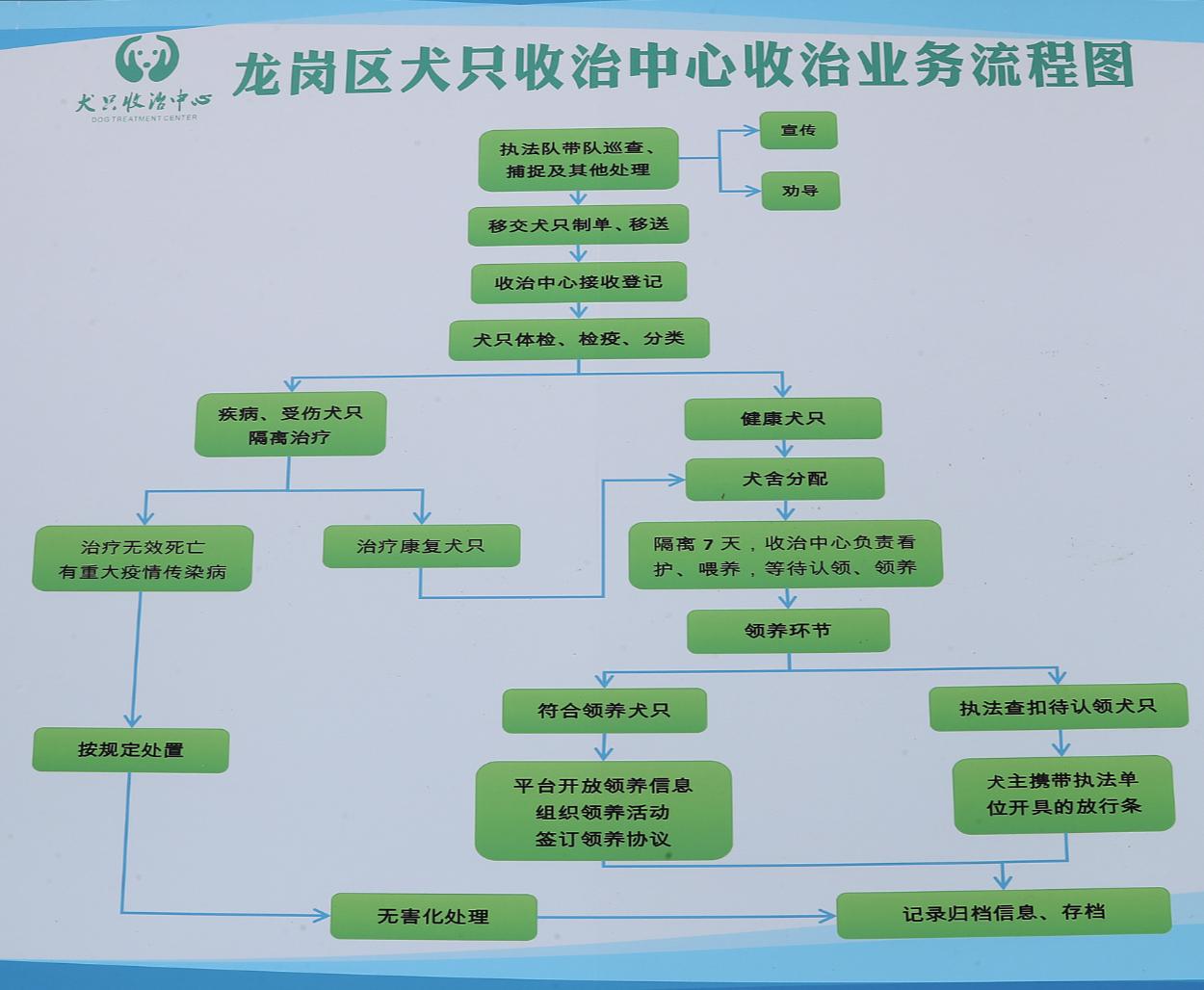 深圳领养流浪犬最新规定,深圳市领养宠物中心
