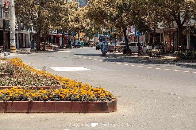 寻味泰州美食绘画,手绘靖江