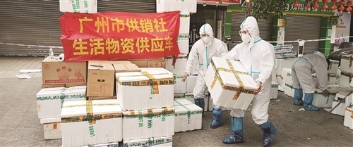 广州市供销合作社：疫情来袭全力保障5.8万人物资供应