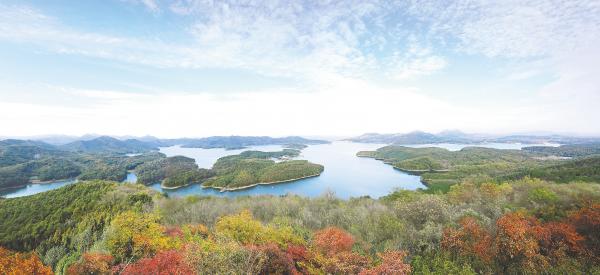 县域电商精准扶贫项目,电商扶贫致富小康路