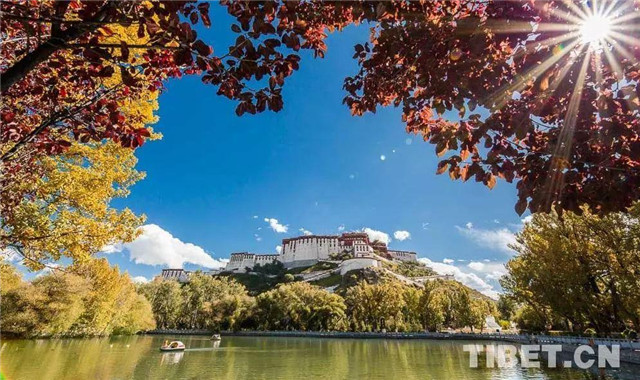 西藏70年发展成就,辉煌中国的西藏拉萨