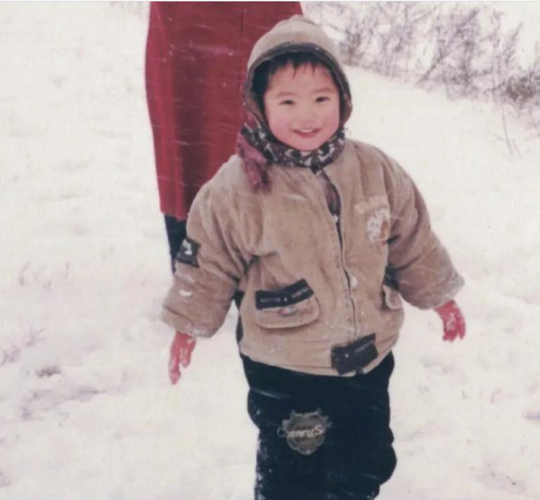 整容失败的男星们,娱乐圈整容艺人