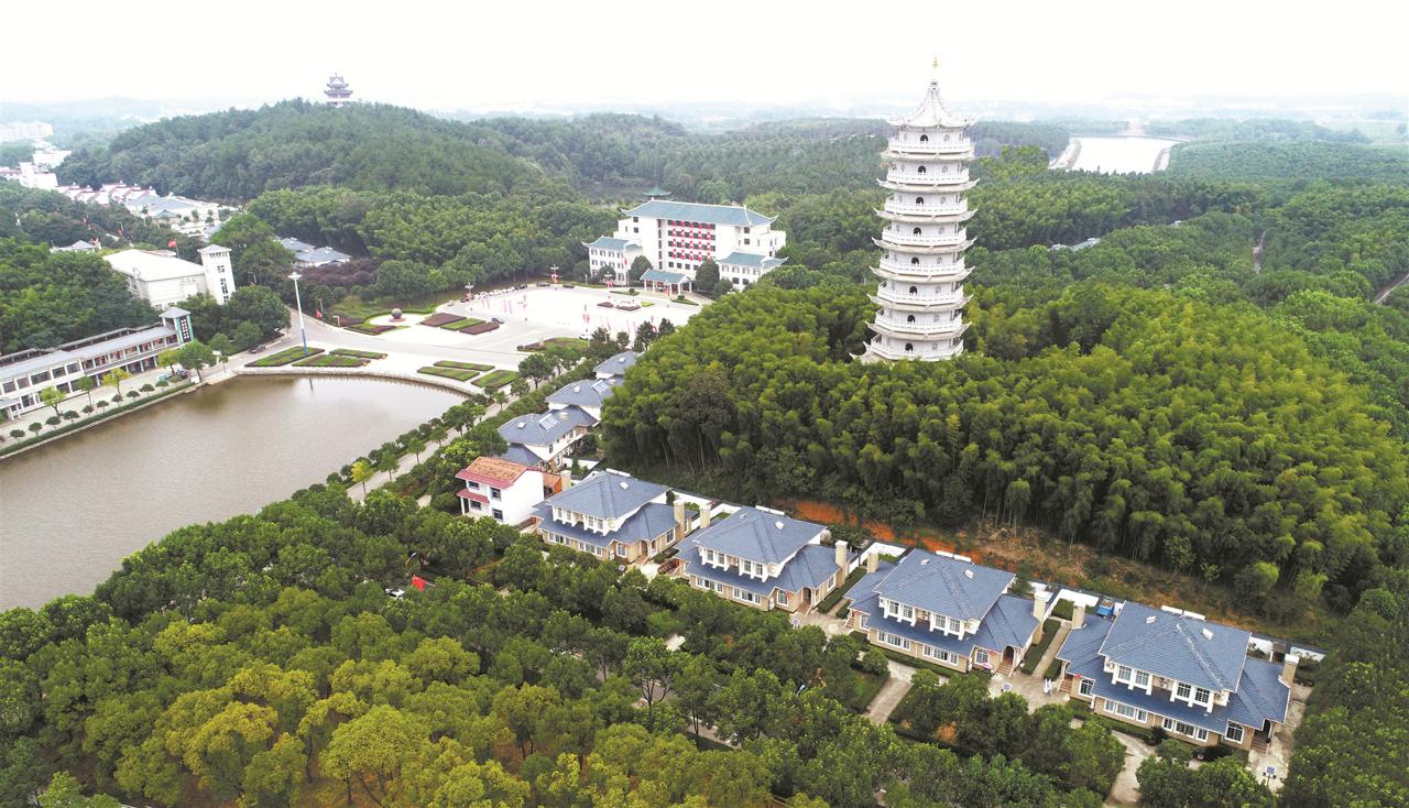 当村民小组长43年,周宝生干得怎么样?