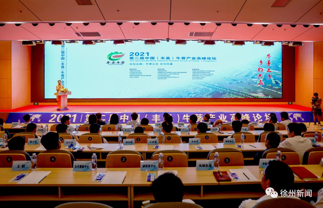 书记与县长,书记每周工作安排