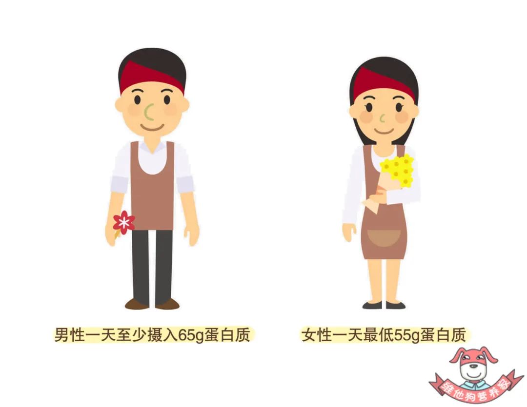 发际线突然变高能补救回来吗,我的发际线该怎么补救