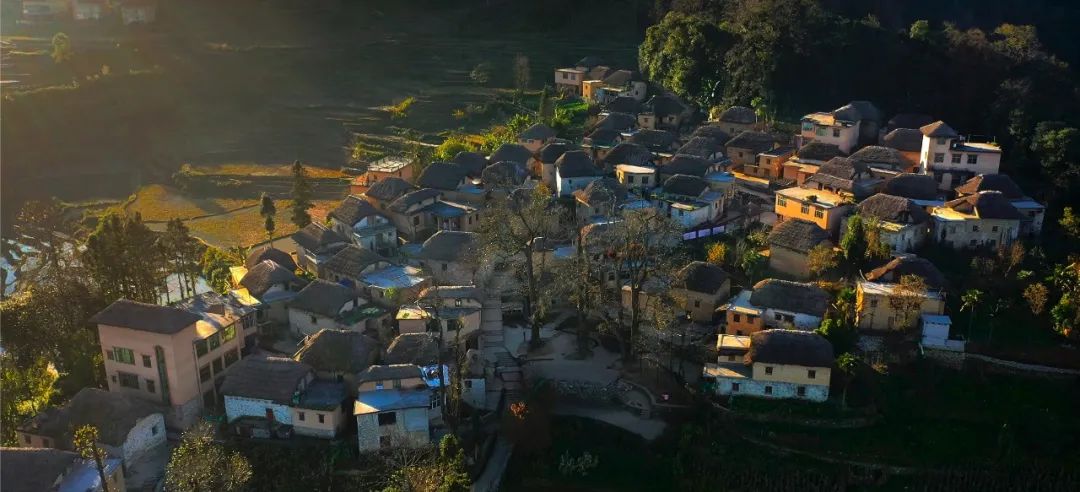 人民大会堂金色大厅,人民大会堂张桂梅