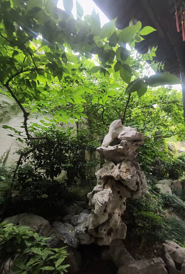 鍏充簬鎴戠殑2021鎬荤粨,璇磋鎴戠殑瀹朵埂鏉窞