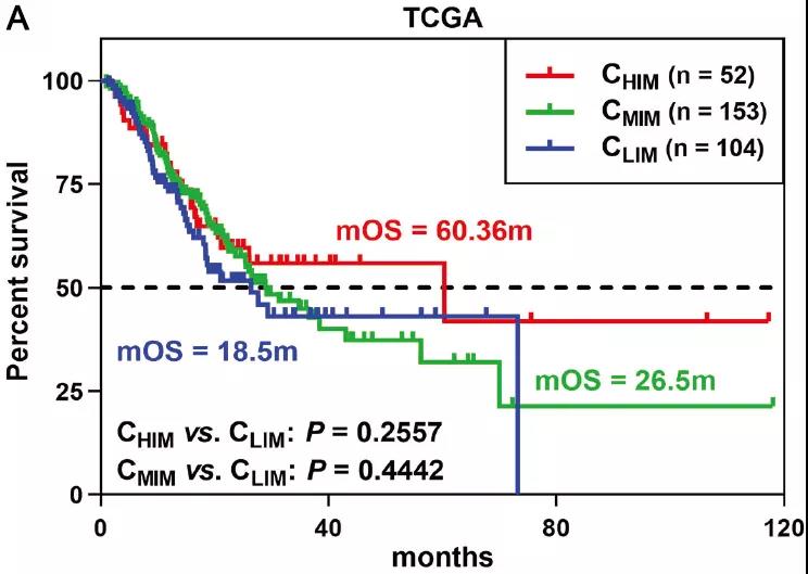 齐鲁医院刘联教授团队联合求臻医学提出晚期胃癌免疫治疗新精准分型指导预后