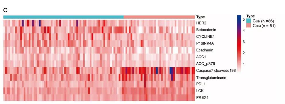 齐鲁医院刘联教授团队联合求臻医学提出晚期胃癌免疫治疗新精准分型指导预后