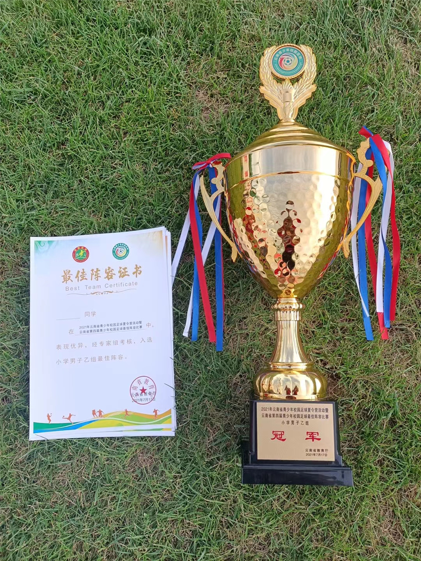 丽江足球联赛第一名,丽江足球队参加中冠的队伍