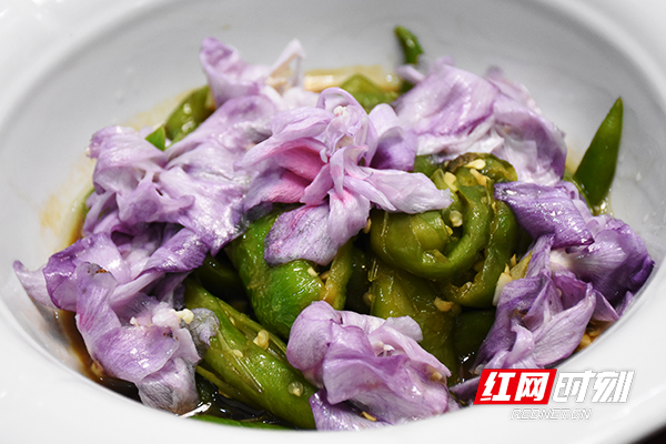 浜т笟鍙戝睍鍔╁姏涔℃潙瑙嗛绱犳潗,浜т笟鍙戝睍鍔╁姏涔℃潙鎸叴瑙嗛绱犳潗