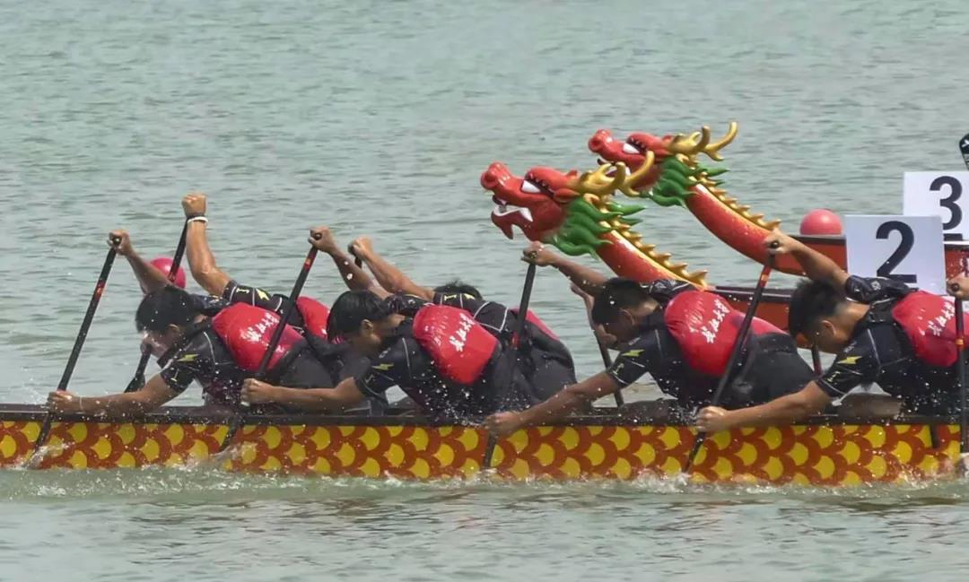 中国大学生龙舟锦标赛公开组,大学龙舟锦标赛