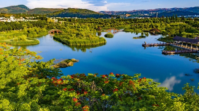 打好绿色牌,打好绿色发展底色