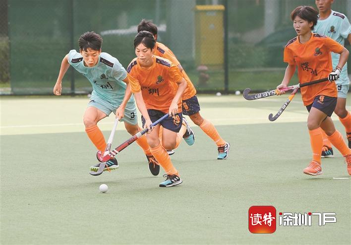 深圳圳能量,圳能量视频