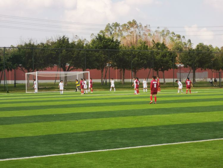 看身边变化建设美丽家园,看身边变化听身边故事