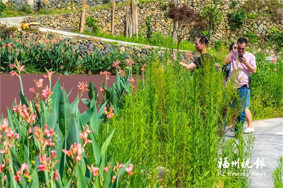 不出福州一日游去哪,不出福建省好玩的旅游景点