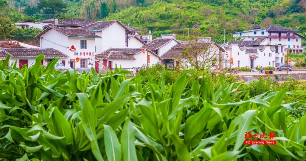 不出福州一日游去哪,不出福建省好玩的旅游景点