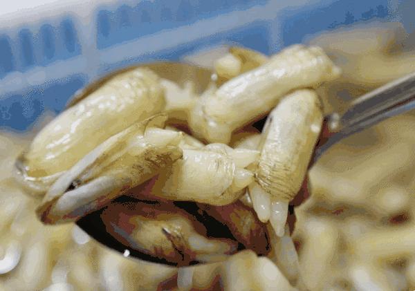 福州哪里买新鲜又便宜的海鲜,福州海鲜哪里买最便宜