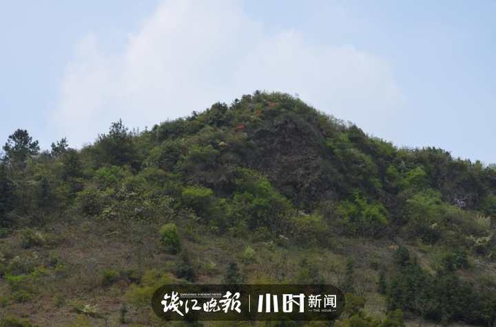 王炸!浙北发现500万吨“夜明珠”,粉、绿、紫、黄各种颜色都有