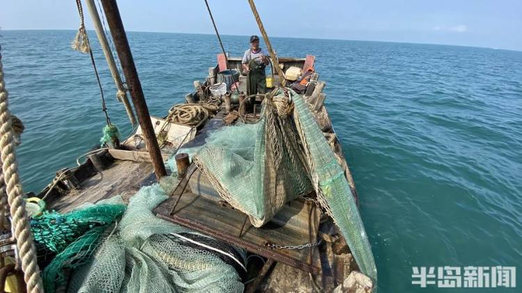 半岛聚焦丨从网捕到上码头仅1小时，最新鲜的“小船海鲜”怎么捕来的？