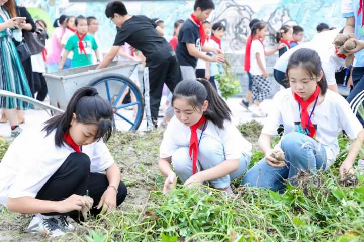 杭州钱塘区在建的九年一贯制学校,让孩子能进入心仪或合适的学校